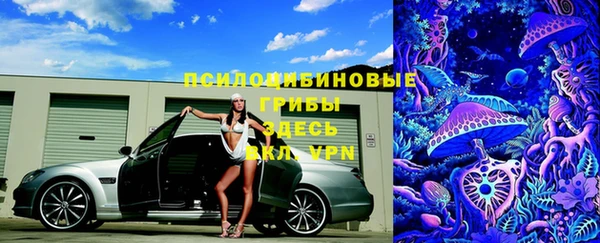 амф Пестово