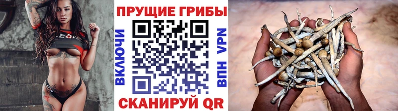 закладка  Александровск-Сахалинский  Галлюциногенные грибы ЛСД 